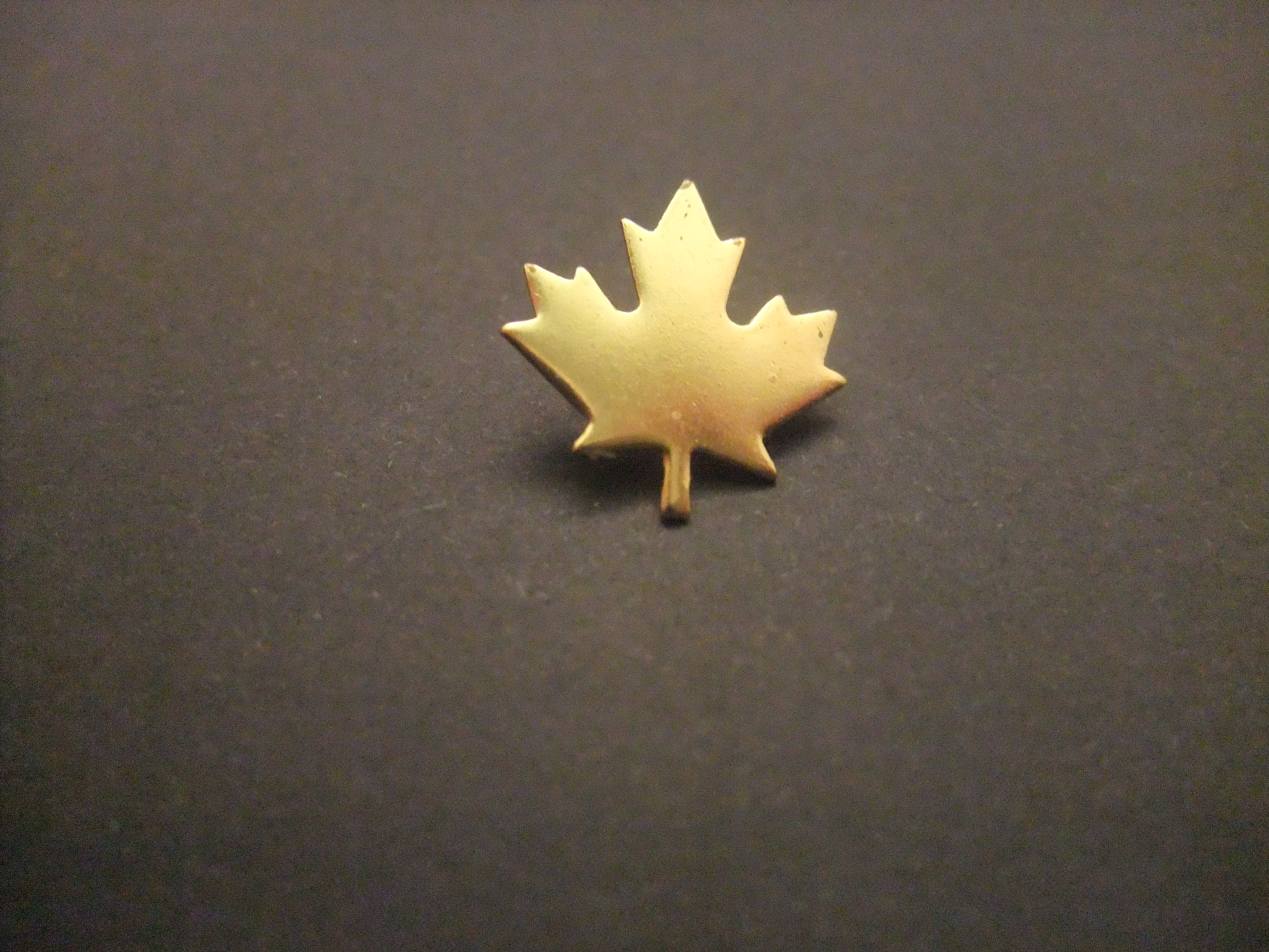 Maple Leaf nationale symbool van Canada esdoornblad goudkleurig